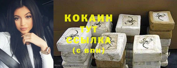 дживик Абинск