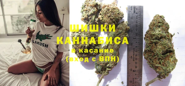 твердый Алзамай